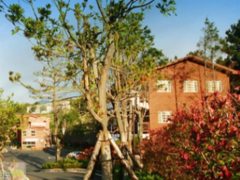 Arbon Youth Hostel & Resort Jeju Buitenkant foto
